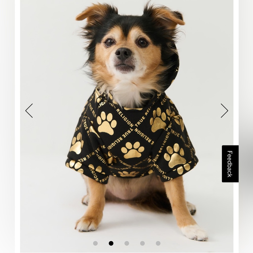 METALLIC PAW LOGO PET HOODIE